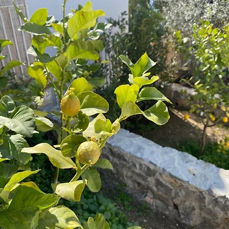 Claudia Villa Anacapri (Isola di Capri)