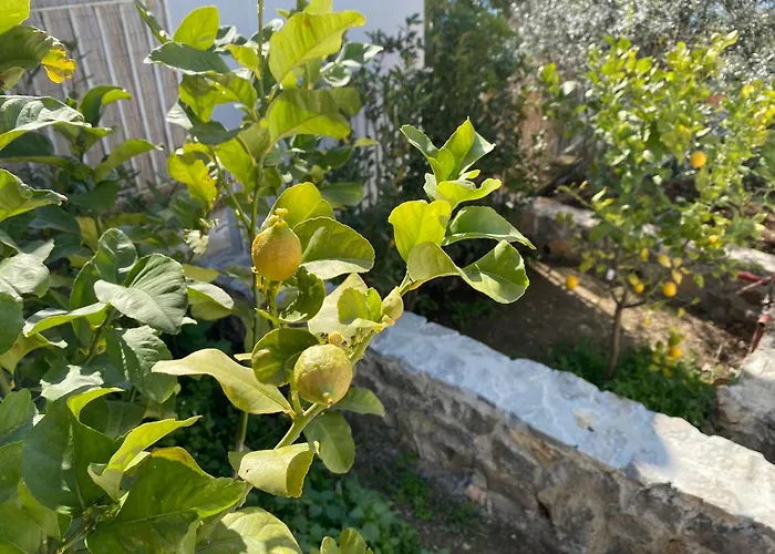 Claudia Willa Anacapri (Isola di Capri)